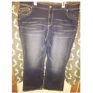 🎈Lane Bryant Genius Fit Jeans